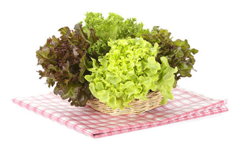 Our Favorite Hydroponic Vegetables Image